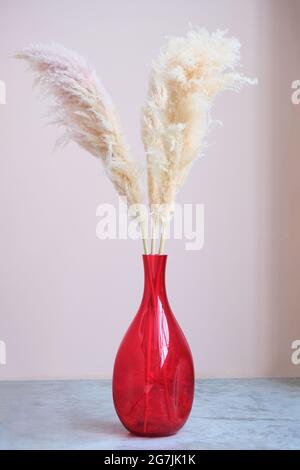 Rote Vase mit Pampagras im Innenraum Stockfoto