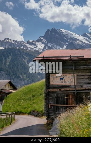 Schönes kleines Dorf mit traditionellen Holzhäusern - Gimmelwald - Lauterbrunnental - Jungfrau Region im Sommer - Schweizer Alpen, Schweiz Stockfoto