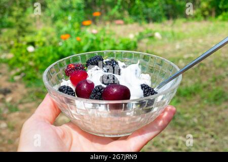 Sommerliche Küche. Eine Schüssel mit Quark und reifen saftigen Beeren Kirsche, Maulbeere, Kokosnuss-Creme in der Hand einer Frau vor dem Hintergrund eines grünen gar Stockfoto