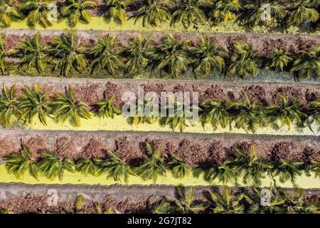 Secret Space Maze in Ratchaburi, Thailand, Südostasien Stockfoto