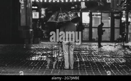 Hund geschützt von einem Mann, der einen Regenschirm im Regen hält - beste Freunde. Graustufen-Foto von Mann in schwarzer Jacke und Hose Stockfoto