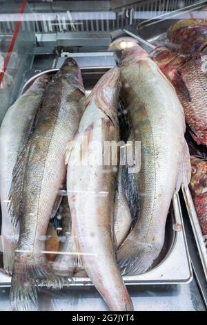 Ein Haufen Fische auf der Theke eines Fischladens auf dem Bauernmarkt, Fische im Fenster aus der Nähe. Stockfoto