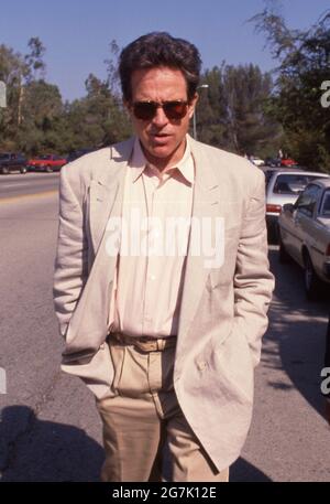 Warren Beatty um die 1980er Jahre Credit: Ralph Dominguez/MediaPunch Stockfoto