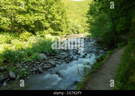 Langzeitbelichtung des East Lyn-Flusses, der durch die Wälder bei Watersmeet im Exmoor National Park fließt Stockfoto