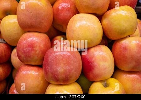 Frische reife rote Äpfel auf der Theke eines Bauernhofs Stockfoto