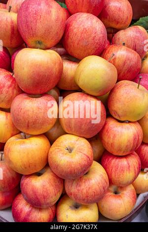 Frische reife rote Äpfel auf der Theke eines Bauernhofs Stockfoto