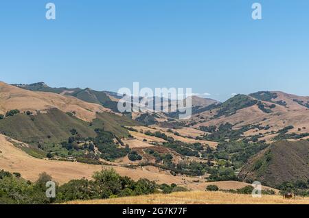 Cambria, CA, USA - 9. Juni 2021: Weite Landschaft von Back Country mit trockenem Ranchland und grünen Bäumen an steilen Flanken von Bergen unter Blau Stockfoto