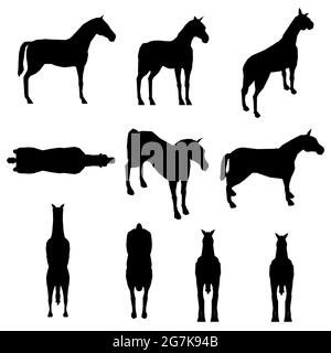 Set mit Pferdesilhouetten in verschiedenen Positionen isoliert auf weißem Hintergrund. Vektorgrafik. Stock Vektor