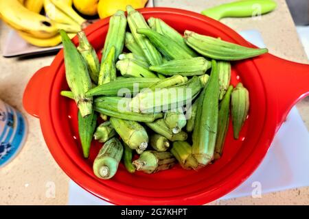 Frische Okra für die Herstellung von Gumbo, New Orleans, Louisiana, USA Stockfoto