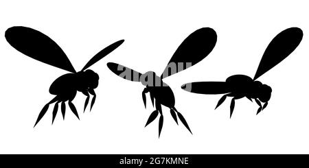 Set mit Silhouetten von Bienen in verschiedenen Positionen isoliert auf weißem Hintergrund. Vektorgrafik. Stock Vektor