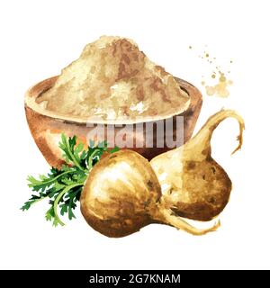 Maca-Wurzel oder peruanischen Ginseng mit Maca-Pulver in der Schüssel, Bio-Gemüse, Superfood. Aquarell handgezeichnete Illustration isoliert auf weißem Backgro Stockfoto