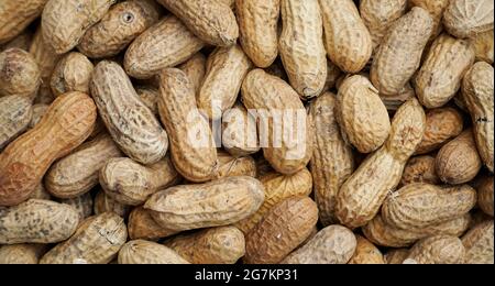 Nahaufnahme von Erdnüssen mit Schale. Hintergrund der Speisen. Stockfoto