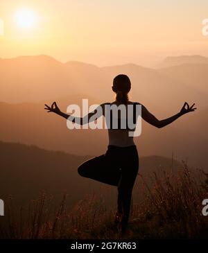 Rückansicht einer jungen schlanken Frau, die Yoga auf einem Bein in der Natur praktiziert. Konzept der Harmonie mit der schönen Natur. Stockfoto