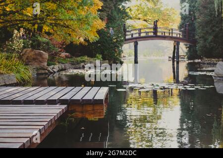 Herbstlicher japanischer Garten in einer europäischen Stadt, Holzbrücke und Holzplattform, Platz zum Entspannen, horizontales Foto Stockfoto