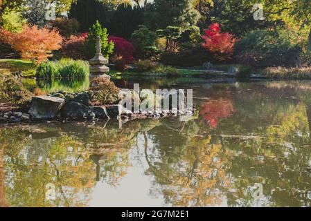 Herbstlicher japanischer Garten in einer europäischen Stadt, horizontales Foto Stockfoto