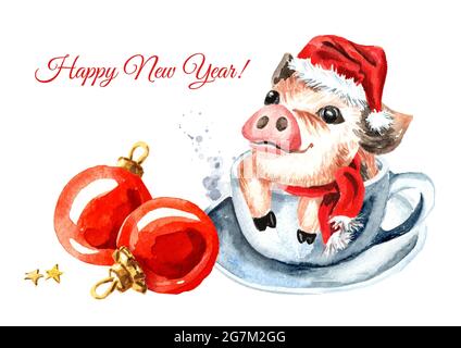 Karte für das neue Jahr. Mini-Schwein mit Weihnachtsmütze in der Teetasse und roten Kugeln als Symbol für Neujahr 2019. Aquarell handgezeichnete Illustration, isoliert o Stockfoto