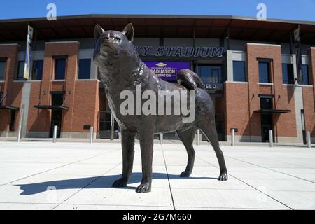 Eine allgemeine Ansicht der Husky-Hundestatue am Eingang des Dawg Pack zum Husky-Stadion auf dem Campus der Universität von Washington, Mittwoch, 14. Juli 2021, Stockfoto