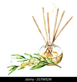 Teebaumöl in einer Glasflasche mit Stöcken und Brunch. Frischungsmittel. Aquarell handgezeichnete Illustration, isoliert auf weißem Hintergrund Stockfoto
