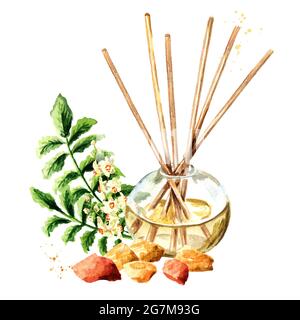 Weihrauch Aroma Flüssigkeit in einer Glasflasche mit Sticks. Frischungsmittel. Aquarell handgezeichnete Illustration, isoliert auf weißem Hintergrund Stockfoto