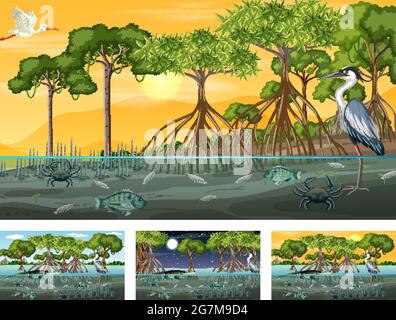 Verschiedene Mangrovenwaldlandschaftsszenen mit Tierdarstellung Stock Vektor