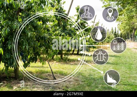 Smart Farming Digitale Technologie Landwirtschaft Auf Dem Bauernhof Stockfoto