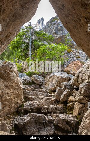 Felsenlabyrinth unter den Latemarbergen, Dolomiten, Südtirol Stockfoto