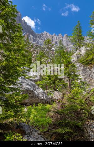 Felsenlabyrinth unter den Latemarbergen, Dolomiten, Südtirol Stockfoto