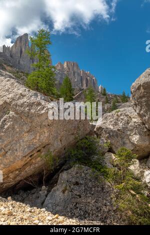 Felsenlabyrinth unter den Latemarbergen, Dolomiten, Südtirol Stockfoto