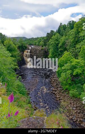 High Force Wasserfall in Teesdale County Durham Stockfoto