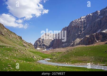 Kleiner Fluss im grünen Bergtal, Fann-Gebirge, Tadschikistan Stockfoto