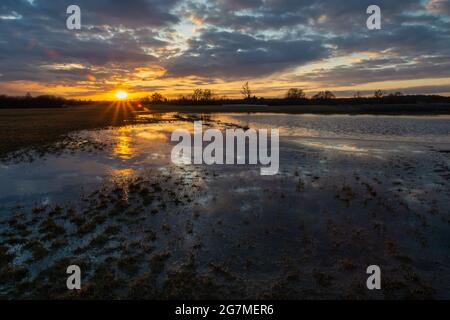 Überflutete Wiese nach Regen, Wolken und Sonnenuntergang, Nowiny, Polen Stockfoto