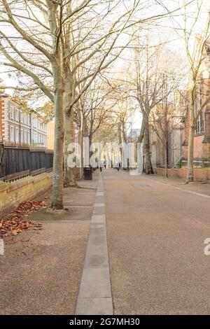 Langer, gerader Schuss des New Walk, der zur Kings Street Kreuzung führt. Von Bäumen gesäumter Gehweg, große schwarze alte Lichter, Gebäude links und rechts. Stockfoto