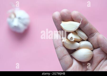 Nahaufnahme PF Knoblauch auf der Hand vor rosa Hintergrund Stockfoto