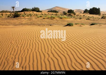 Sandwellen Mit Den Dünen Von Erg Chebbi In Distance, Merzouga, Marokko Stockfoto