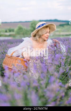 Sammeln von Lavendelblüten in einem Weidensack. Ziemlich reife Dame in stilvollem Hut und Kleid, hockend und genießend den Duft von blühendem Lavendel Stockfoto