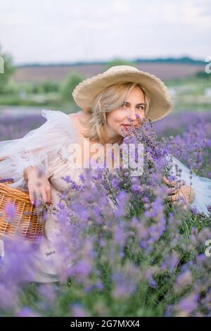 Sammeln von Lavendelblüten in einem Weidensack. Ziemlich reife Dame in stilvollem Hut und Kleid, hockend und genießend den Duft von blühendem Lavendel Stockfoto