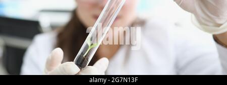 Forscher hält Flasche mit Erde und kleine Pflanze in seinem Hände Stockfoto