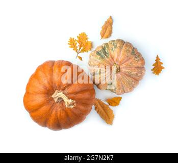 Kürbisse und Herbstlaub auf weißem Hintergrund. Stockfoto