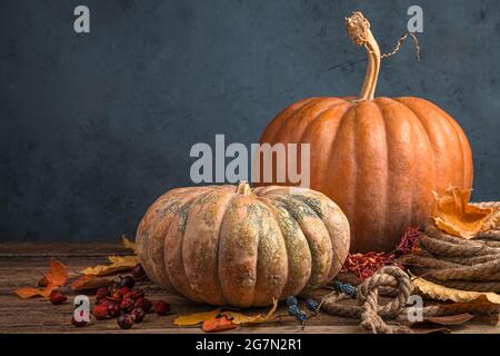 Kürbisse und Herbstlaub auf dunkelblauem Hintergrund. Das Konzept der Herbstferien, Thanksgiving, Halloween. Stockfoto