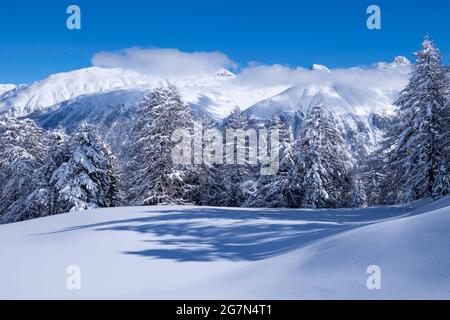 Verschneite Landschaft bei Celerina (Schweiz) Stockfoto