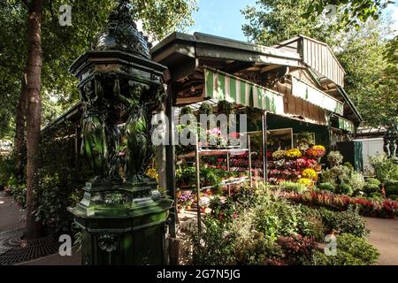 FRANKREICH, PARIS, 75004, ELIZABETH-II 'S BLUMENMARKT Stockfoto