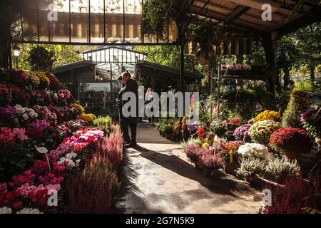 FRANKREICH, PARIS, 75004, ELIZABETH-II 'S BLUMENMARKT Stockfoto