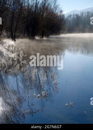 FRANKREICH. PROVENCE. ALPES DE HAUTE PROVENCE (04) STE CROIX SEE BEI BAUDUEN, IM WINTER Stockfoto