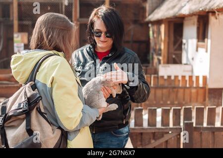Ein Mädchen in einer Sonnenbrille streichelte ein Kaninchen, und das zweite Mädchen hält es in ihren Armen. Stockfoto