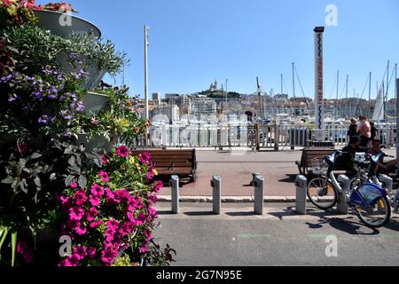 Marseille, Frankreich. Juli 2021. Quai du Port gesehen vegetarisch und Fußgängerzone in Marseille.zum zweiten Mal in Folge bietet die Stadt Marseille einen "Marseille Sommer" vom 1. Juli bis 31. August 2021. Aus diesem Anlass wird der Quai du Port zu einer Fußgängerzone zwischen dem Ombrière und dem Fort Saint-Jean, die mit Dutzenden von Säulen voller Blumen und vegetierter Räume geschmückt ist. Kredit: SOPA Images Limited/Alamy Live Nachrichten Stockfoto