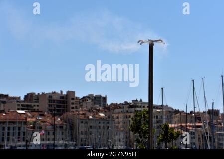 Marseille, Frankreich. Juli 2021. Einer der vielen Nebel, der am Quai du Port in Marseille aufgestellt wurde.zum zweiten Mal in Folge bietet die Stadt Marseille vom 1. Juli bis zum 31. August 2021 einen "Marseille Summer" an. Aus diesem Anlass wird der Quai du Port zu einer Fußgängerzone zwischen dem Ombrière und dem Fort Saint-Jean, die mit Dutzenden von Säulen voller Blumen und vegetierter Räume geschmückt ist. Kredit: SOPA Images Limited/Alamy Live Nachrichten Stockfoto