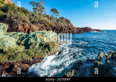 FRANKREICH, VAR (83) ESTEREL, CAP DRAMONT Stockfoto