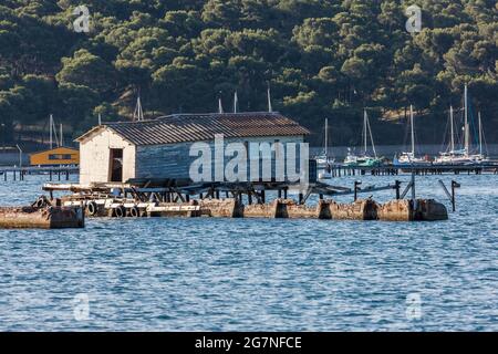 FRANKREICH, VAR (83) LA SEYNE-SUR-MER, TAMARIS CORNICHE, HÜTTEN AUF STELZEN, UMGEBEN VON MUSCHELN, GEBEN ORIENTALISCHE LUFT. Stockfoto