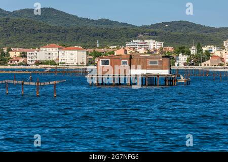 FRANKREICH, VAR (83) LA SEYNE-SUR-MER, TAMARIS CORNICHE, HÜTTEN AUF STELZEN, UMGEBEN VON MUSCHELN, GEBEN ORIENTALISCHE LUFT. Stockfoto