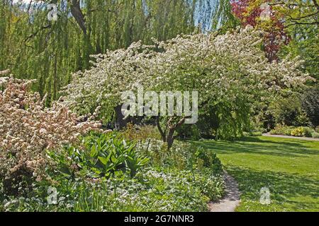 Öffentlicher Park Theresienstein In Hof An Der Saale In Oberfranken Stockfoto